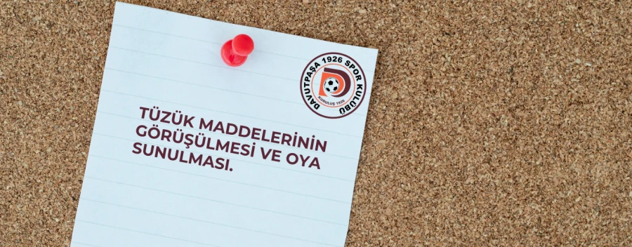 Tüzük Maddelerinin Görüşülmesi ve Oya Sunulması